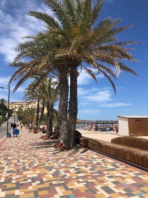 Casa Andres. Two Bed Penthouse Pool & Terrace Apartman Alicante Kültér fotó